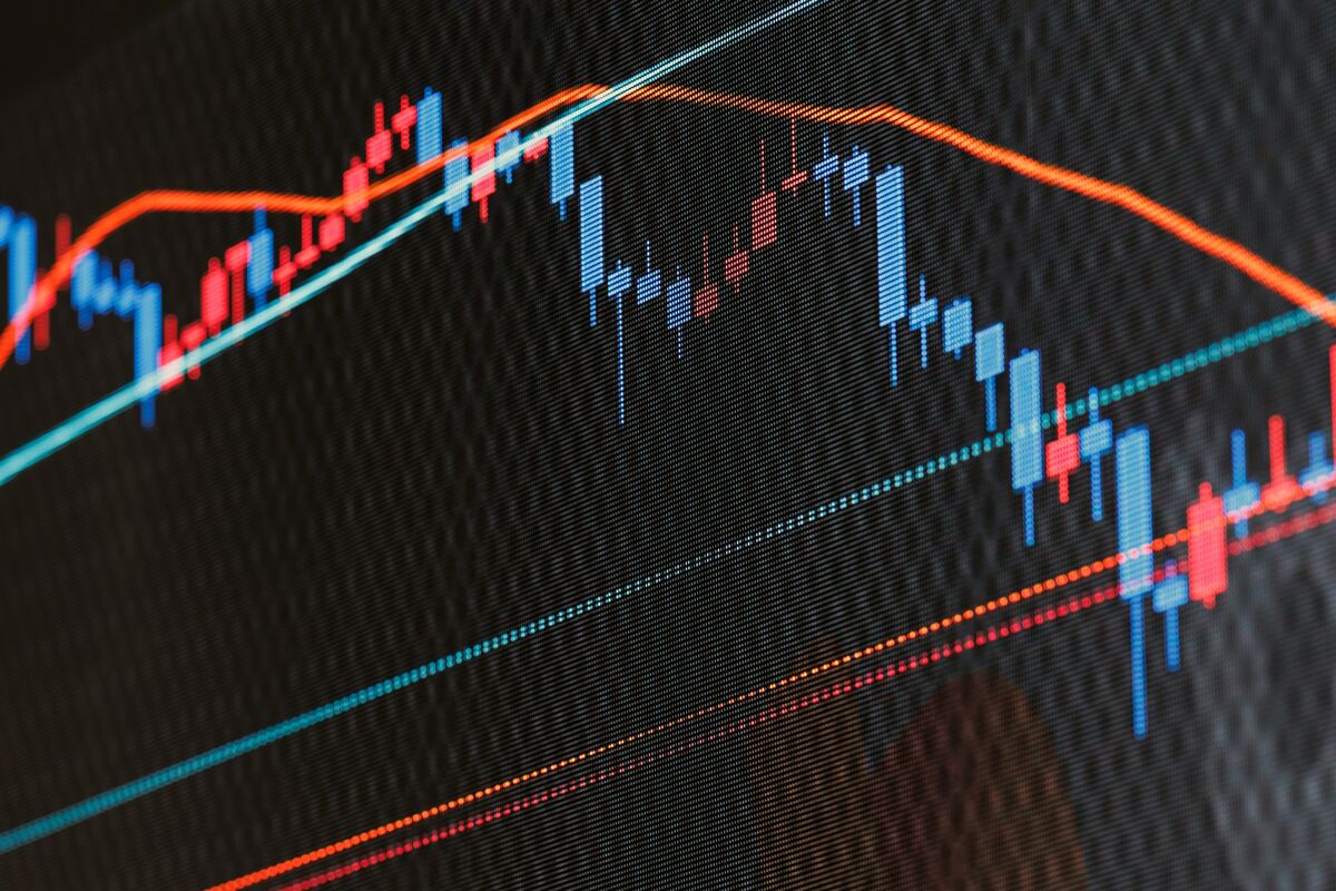 Canada’s TerraVest Slides as Chairman Accused of Insider Tipping